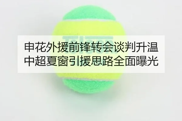 申花外援前锋转会谈判升温 中超夏窗引援思路全面曝光
