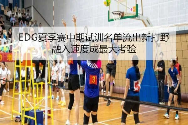 EDG夏季赛中期试训名单流出新打野融入速度成最大考验