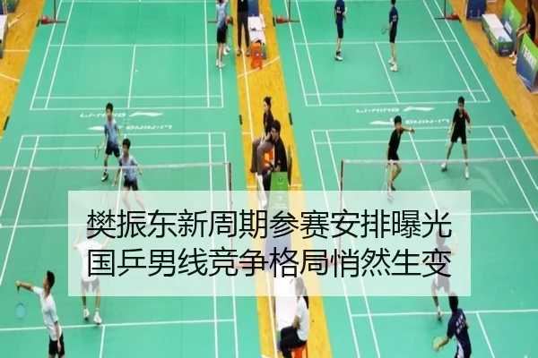 樊振东新周期参赛安排曝光 国乒男线竞争格局悄然生变